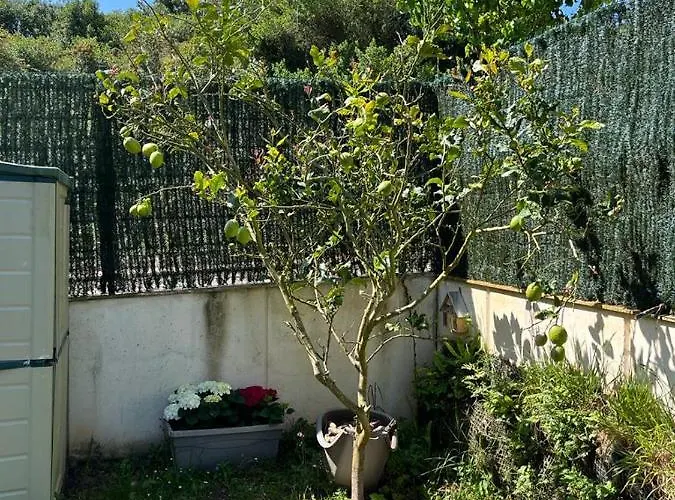 Апартаменты Lagos Azules I *